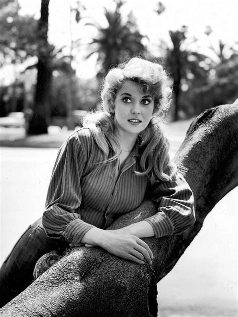 donna douglas naked|45 Beautiful Pics of Donna Douglas in the 1950s and 60s